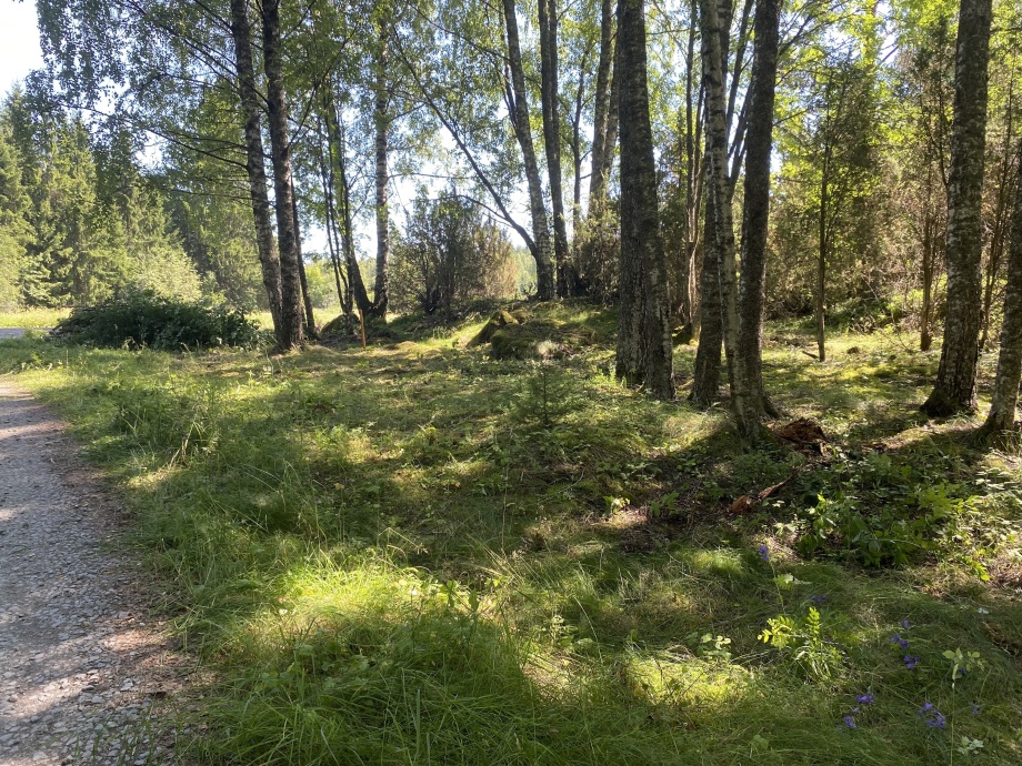 Kalmisto